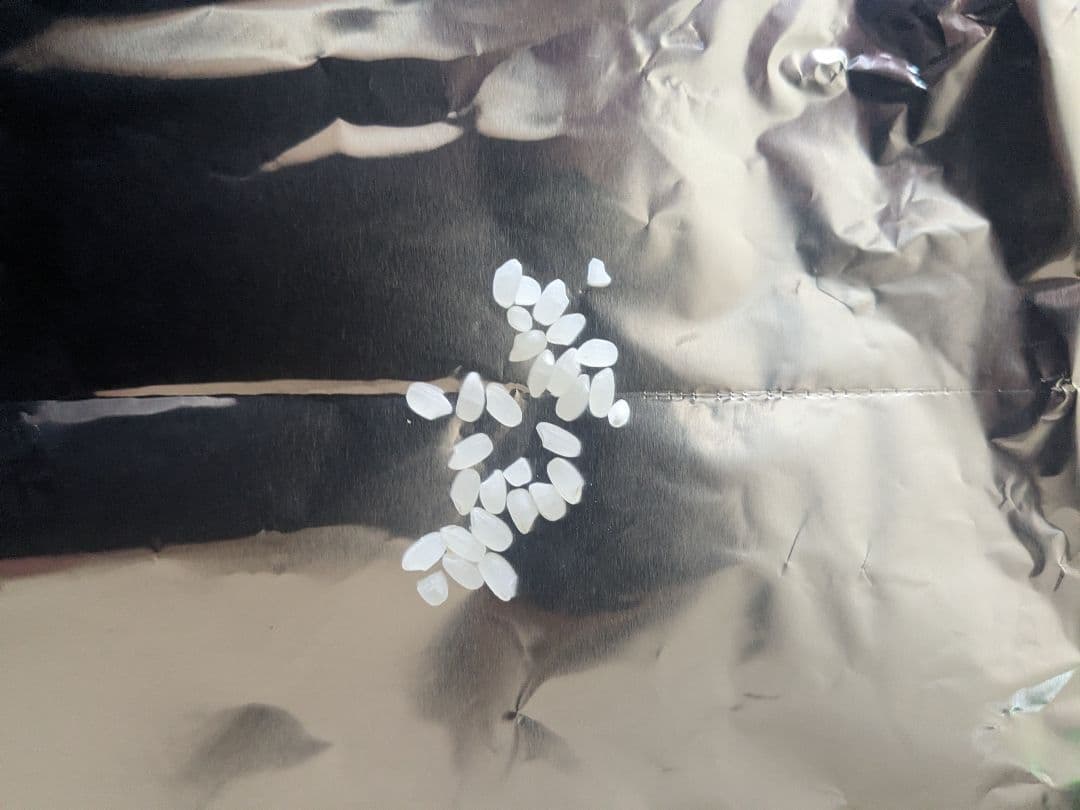 令和七年度産 岩手県産 銀河のしずく 10kg