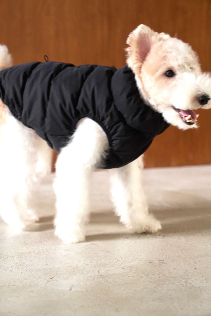 CushyCushy CUSHY PUFFER VEST ブラック サイズ8