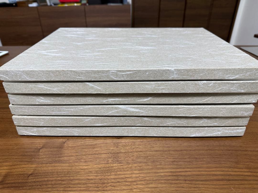 智子リン　値下げ　越前漆器　両面長角膳　6枚　未使用２枚含む　お正月