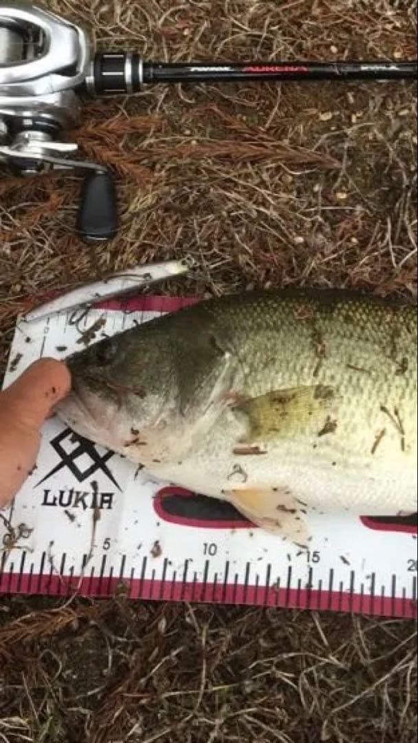 OSP阿修羅　ベントミノー　ジャークベイト　ルアー　セット　ワカサギパターン