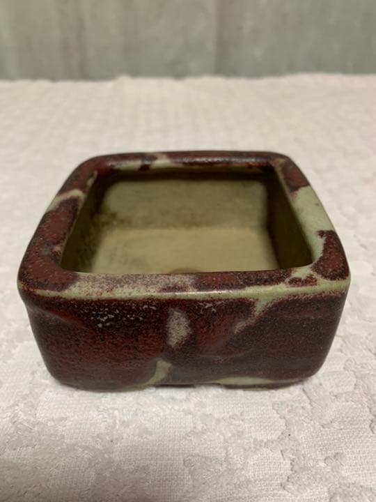 盆栽鉢　原茂 鵬松