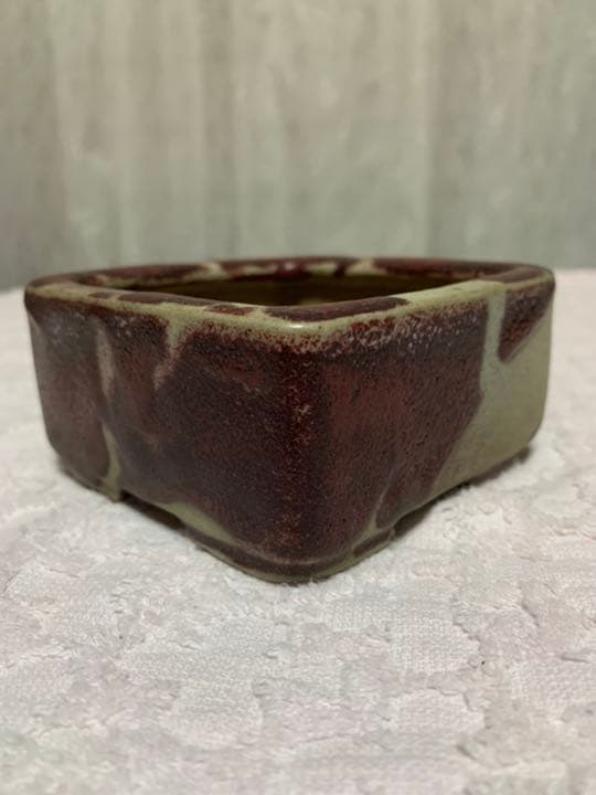 盆栽鉢　原茂 鵬松