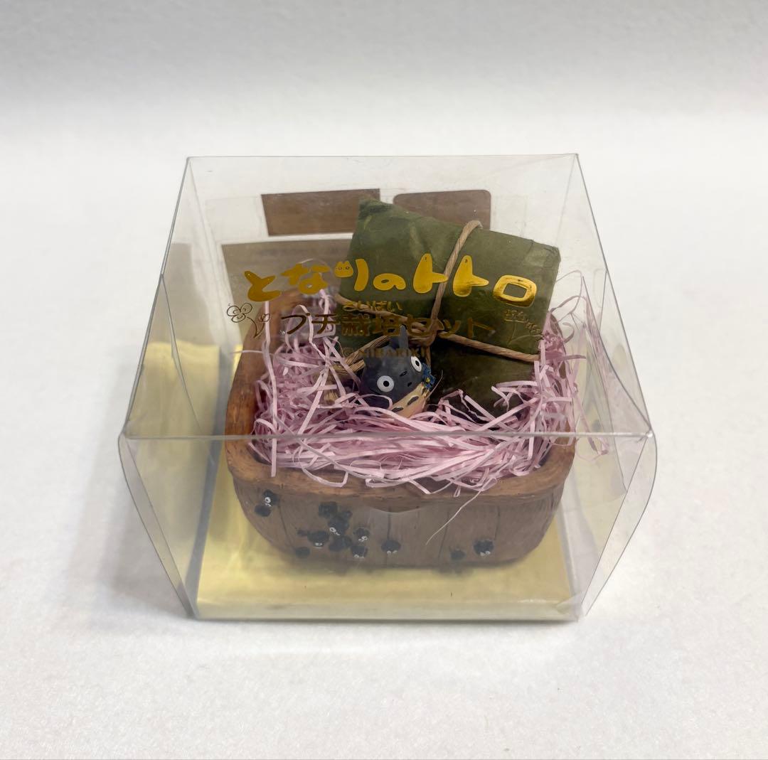 となりのトトロ プチ栽培セット ヒメコスモス (壁) スタジオジブリ