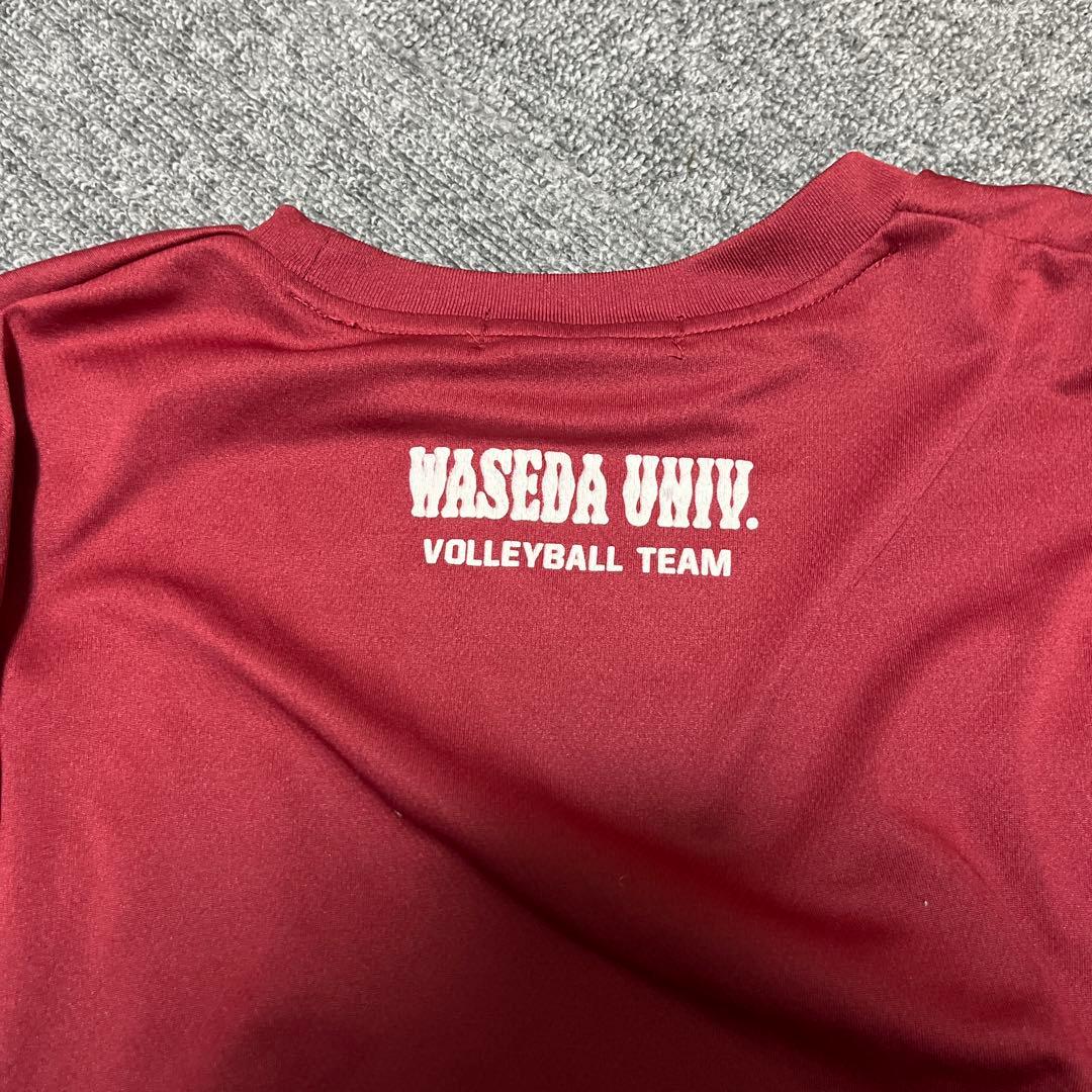 早稲田大学 バレーボールシャツ 赤