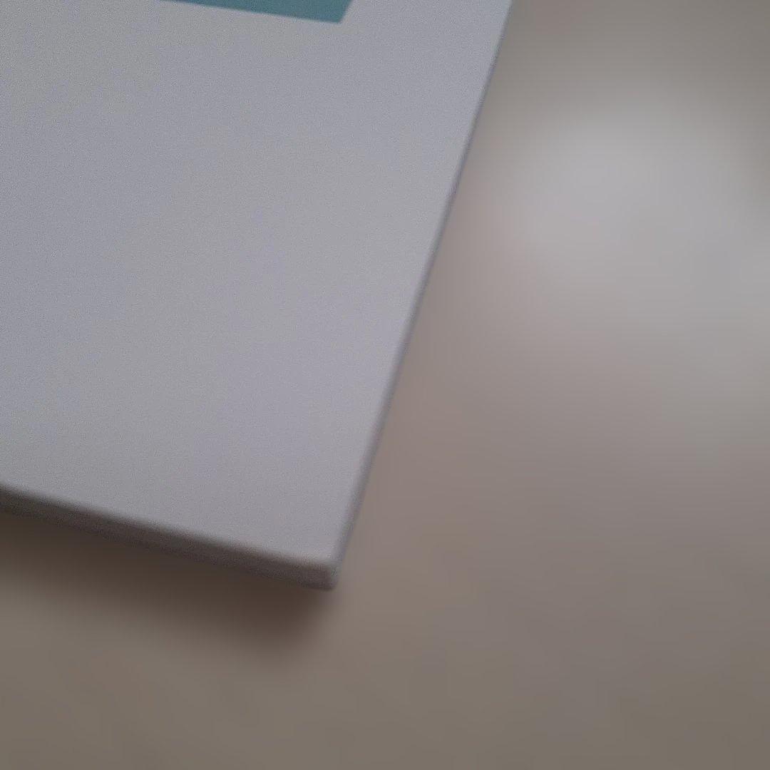 2PM　ジュノ写真集