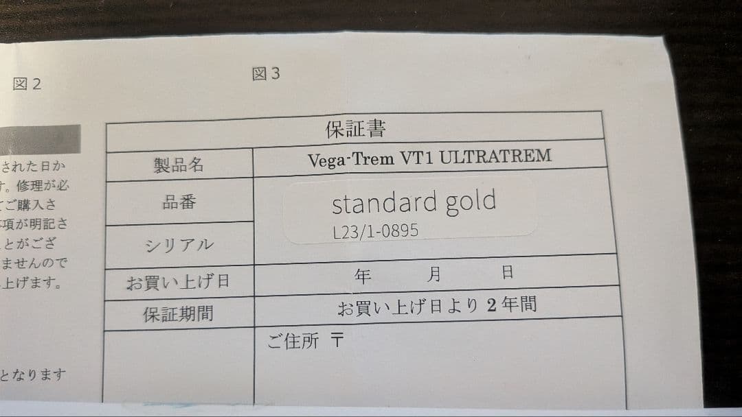 VegaTrem　vt-1 トレモロシステム standard