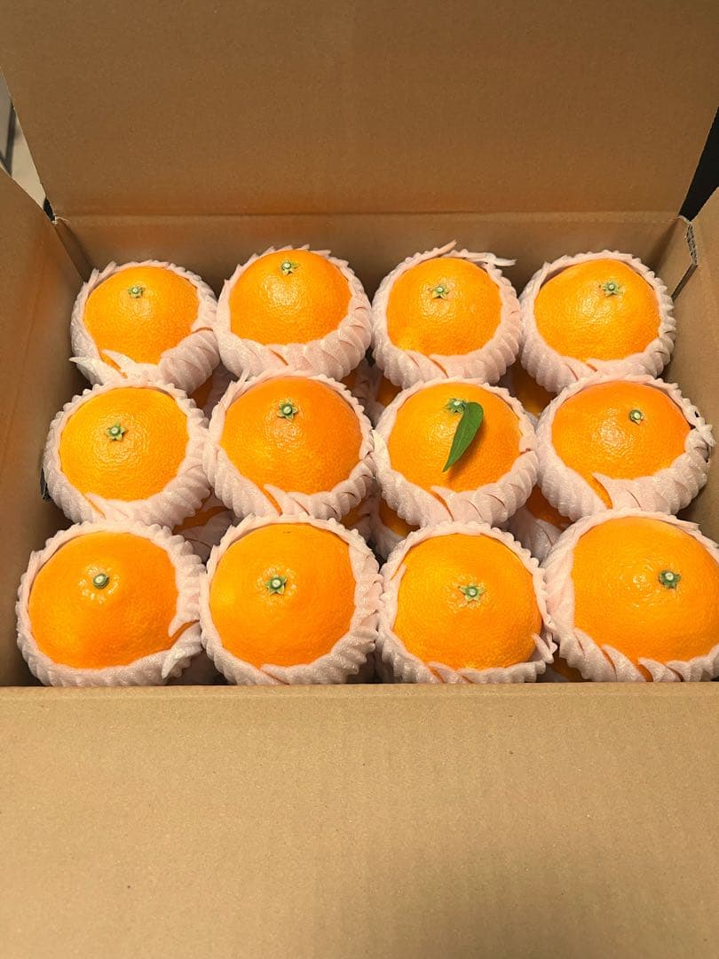 紅まどんな(贈答用)⚠特選L玉・おすすめーーー