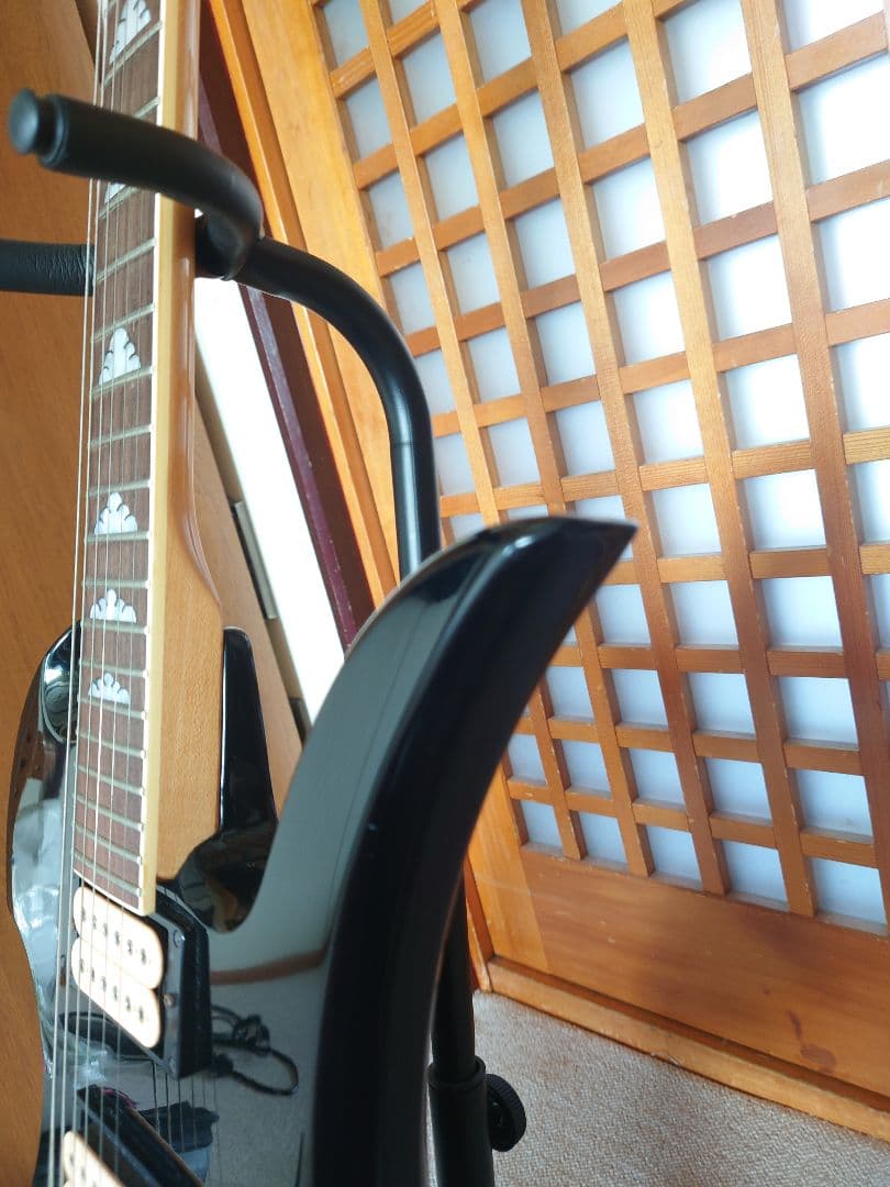 フェルナンデス　MG-XT hideモデル