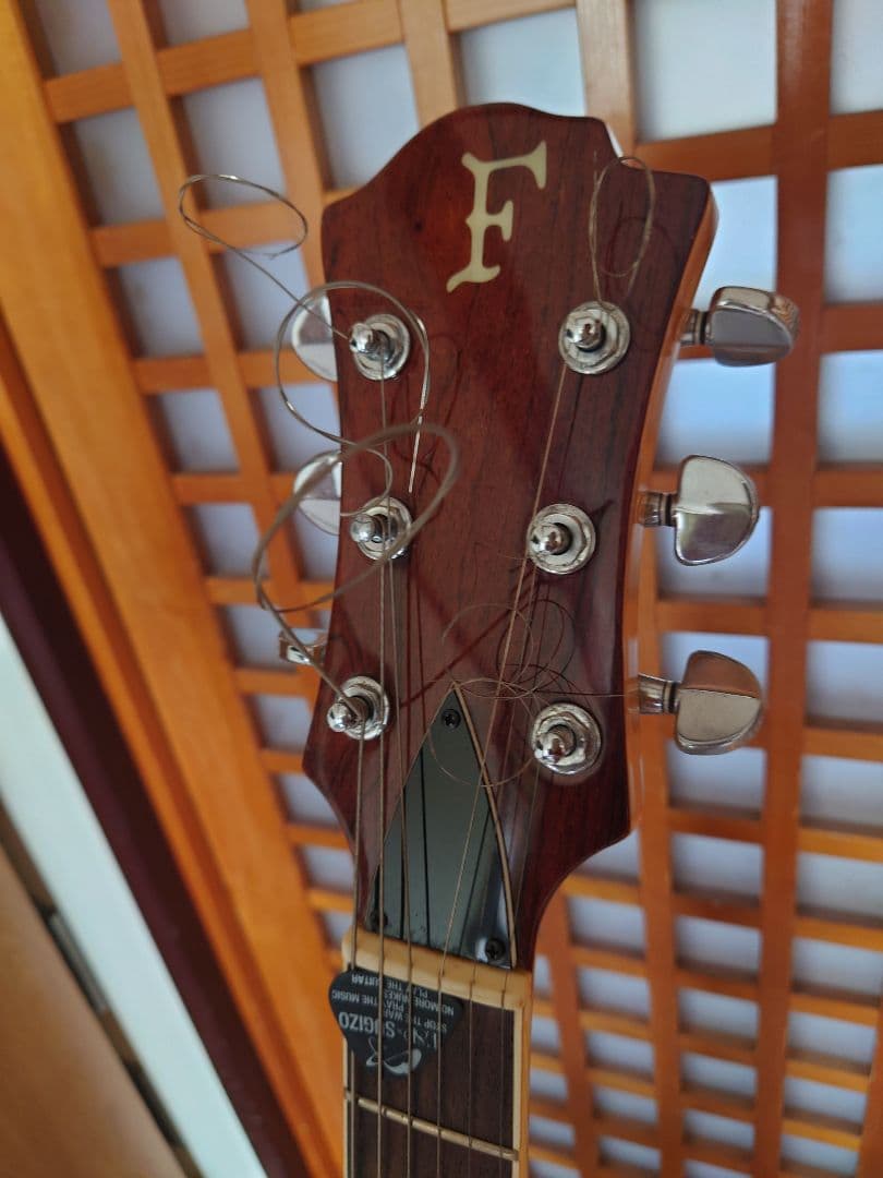 フェルナンデス　MG-XT hideモデル