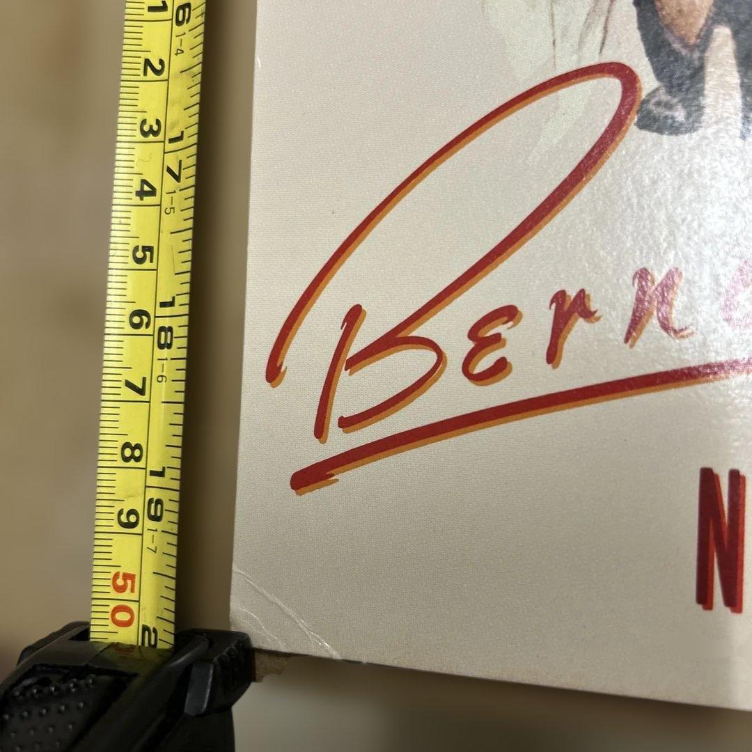 1981年オリジナルピンナップガールBernadette Peters 1個