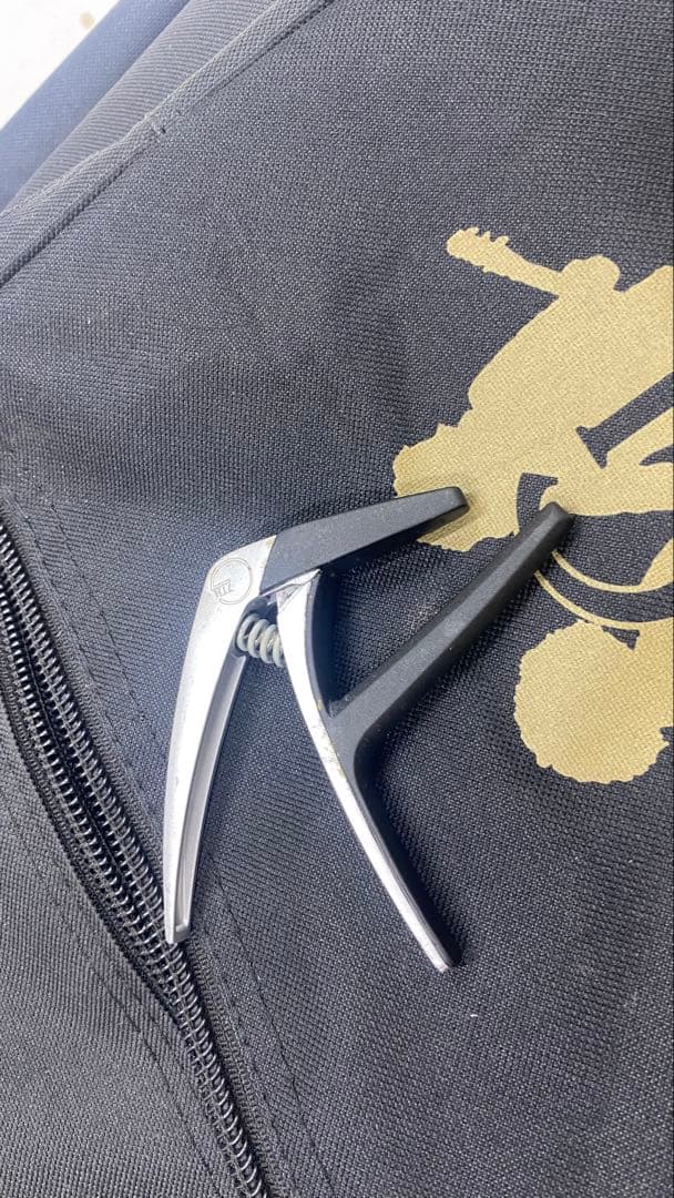 Orangewood T110 NS アコースティックギター