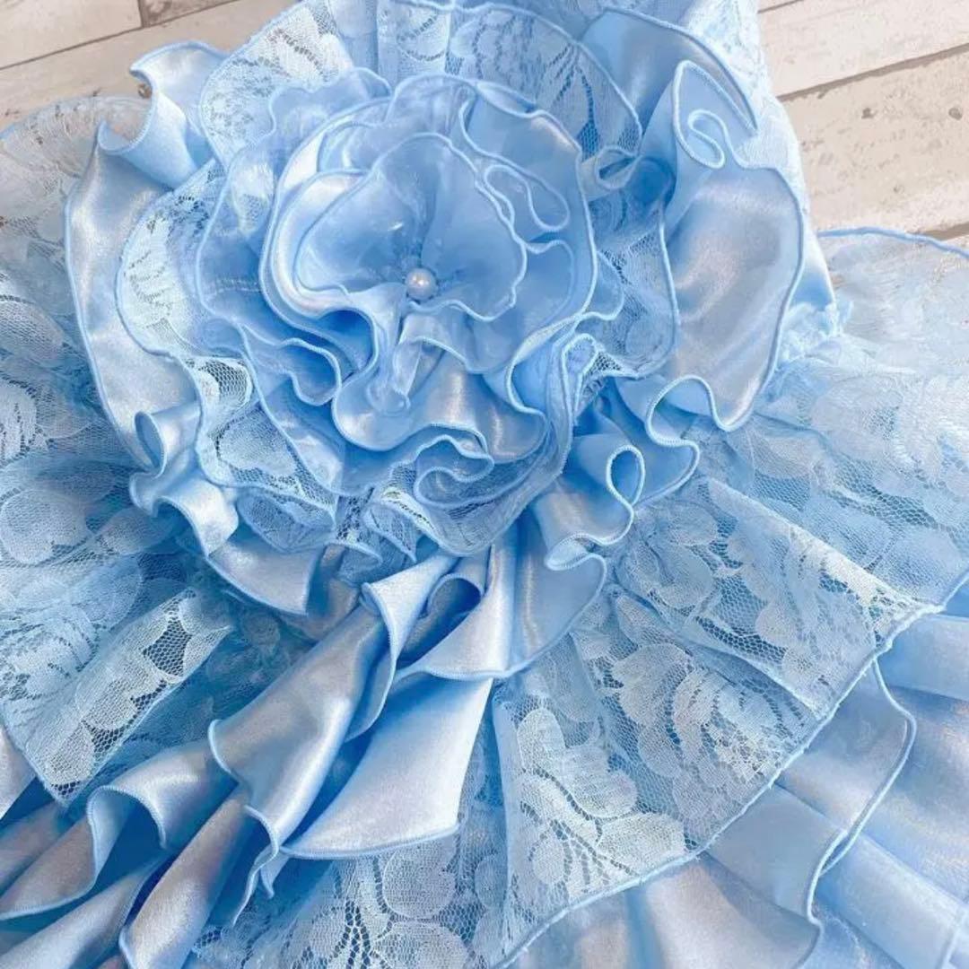 犬のウェディングドレス✨カラードレス 水色 M 犬服