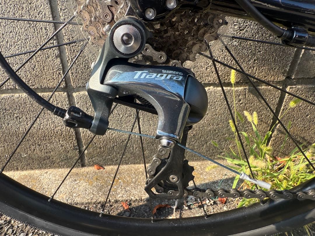 【即決のみ対応】トレック　TREK DOMANE AL4 2021