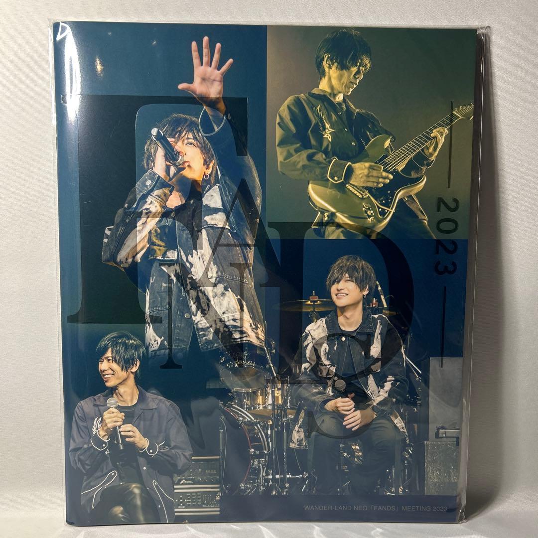 WANDS LIVE PHOTO BOOK 上原大史
