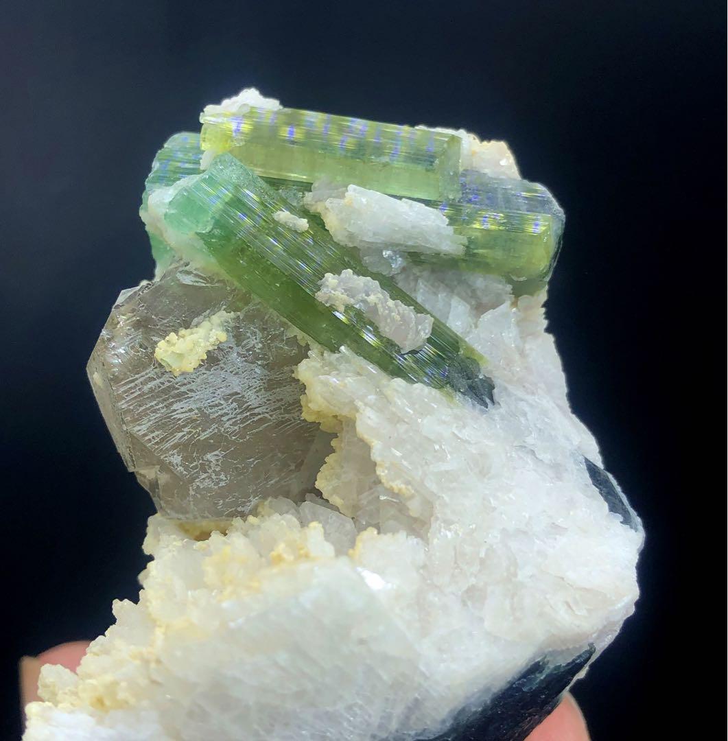 アルバイト付きクォーツクリスタル上の天然バイカラートルマリン。