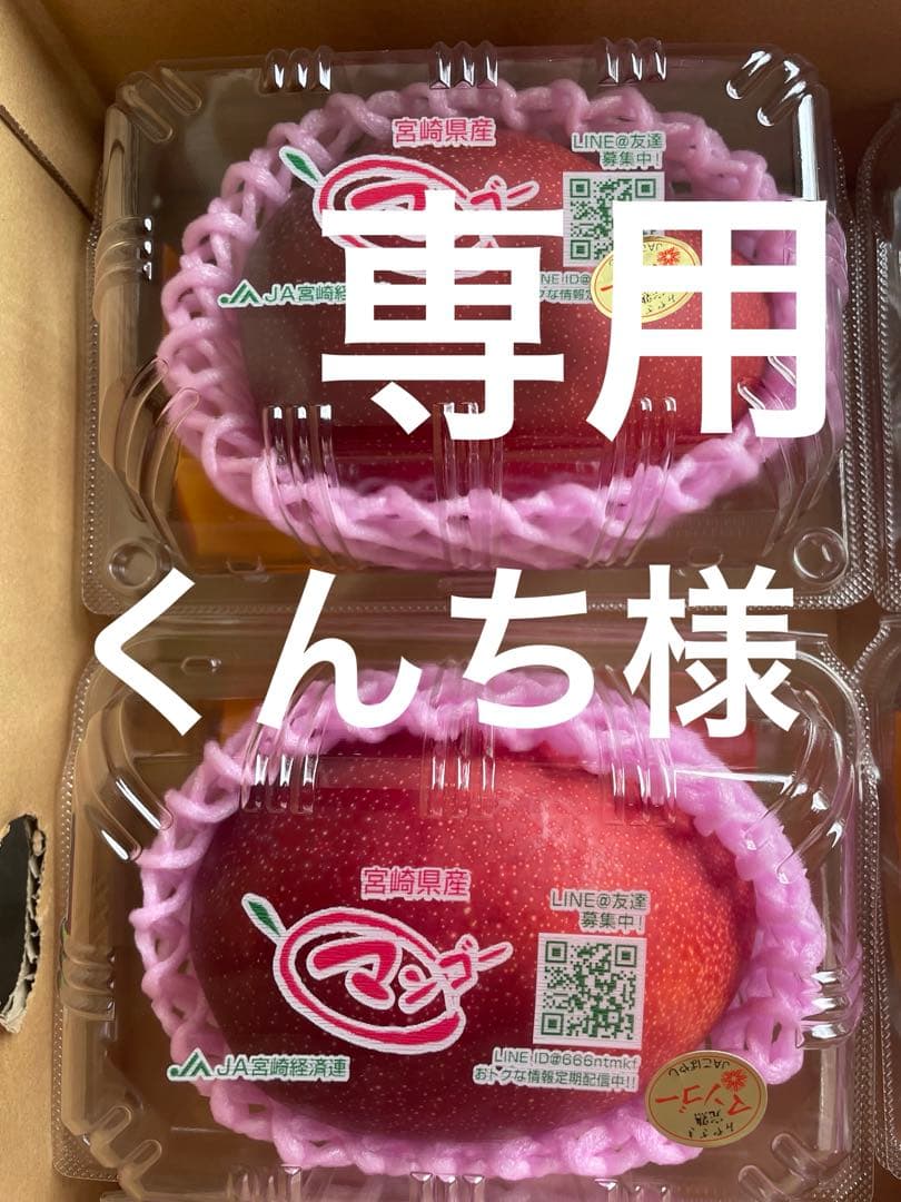 くんちです‼️