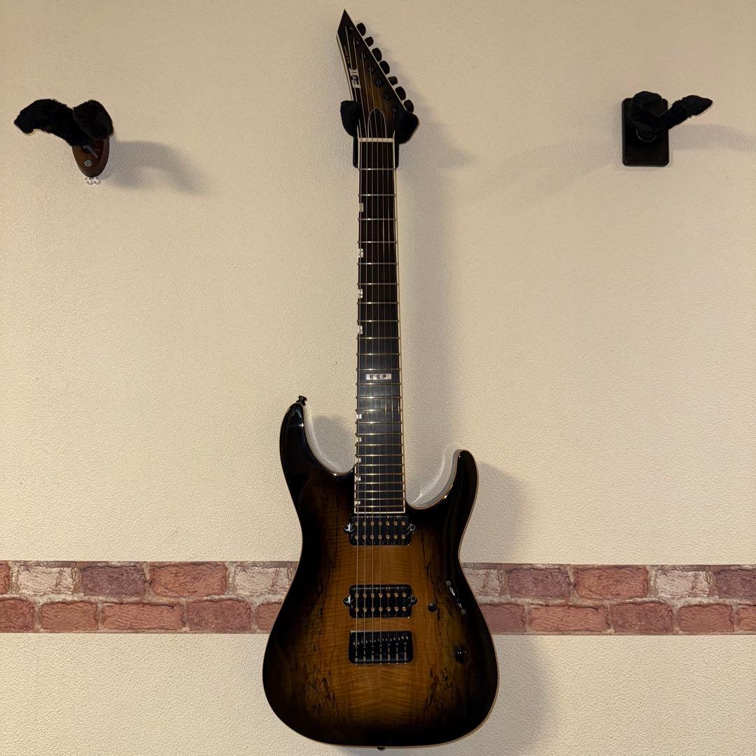 2022 ESP E-Ⅱ SERIES / M-Ⅱ 7NT HS SM