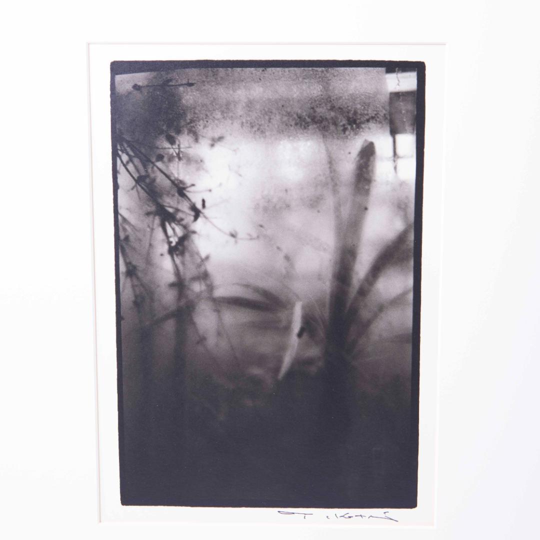Nori  小瀧達郎 （ギャラリーバウハウス主宰）ゼラチンシルバープリント