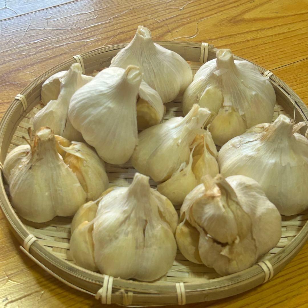 【お買い得セール】青森県 福地ホワイト にんにく L 4kg 加工 家庭用