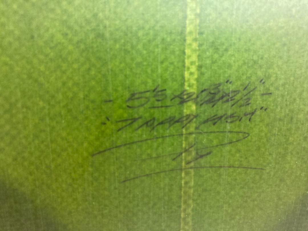 T.I 決済用② Tappy ツインTwin サンディエゴフィッシュ