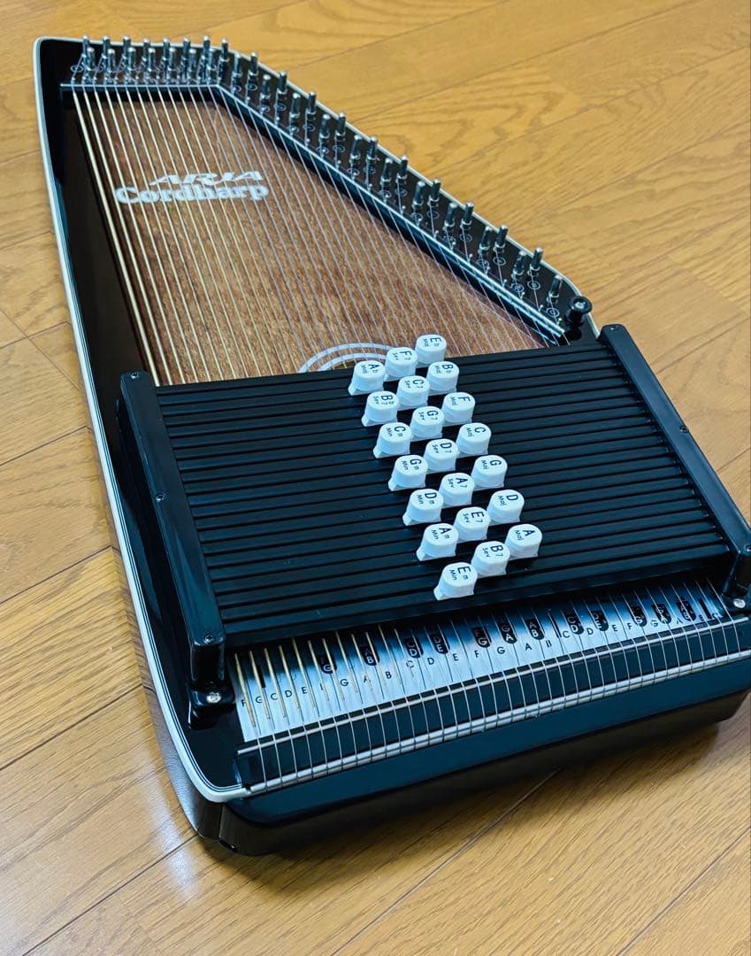 週末限定特価❗️美品 ARIA アリア コードハープ ACH-21