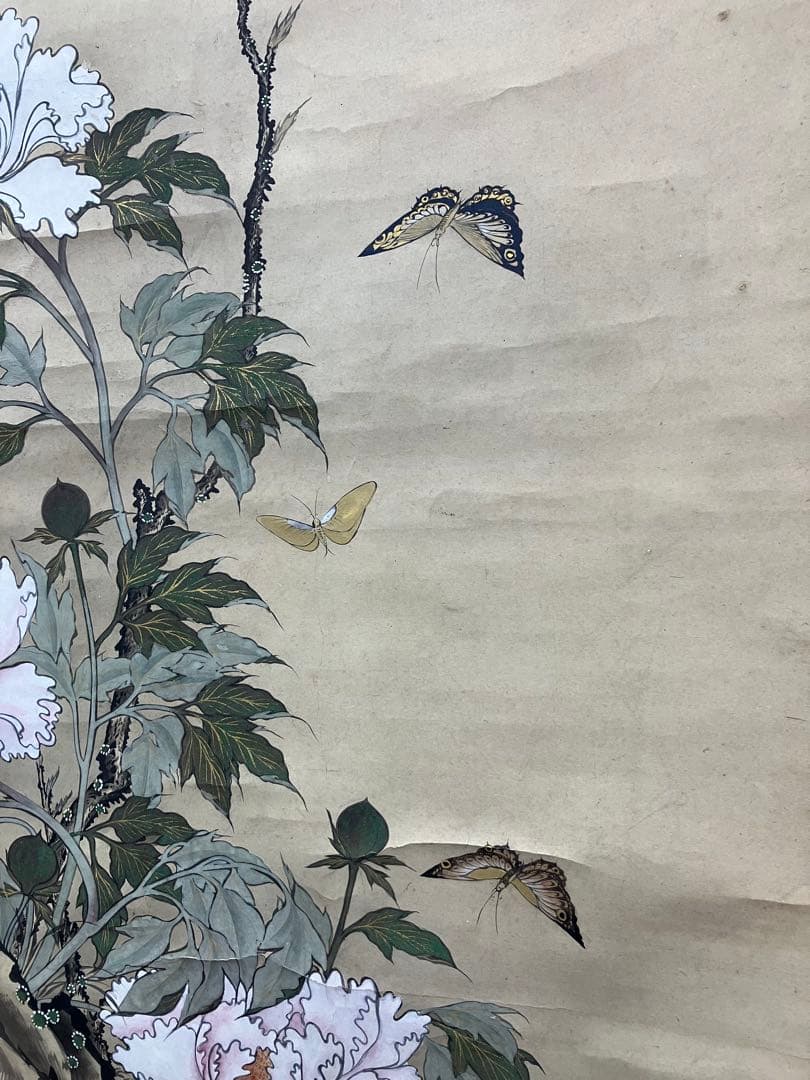 狩野芳崖【蝶・牡丹】紙本　掛軸　二重箱（河鍋暁斎・菊池容斎／狩野派）