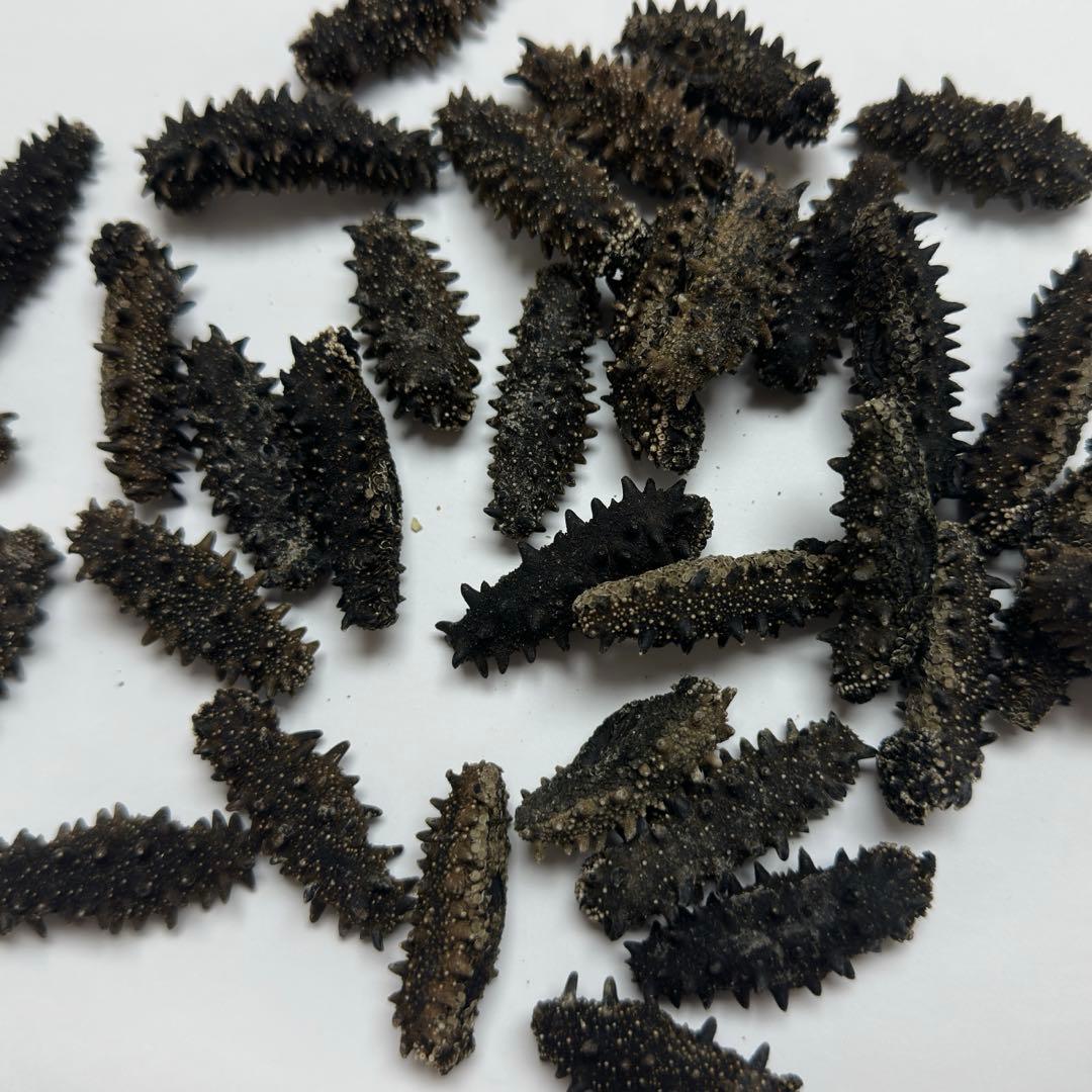 【専用出品】乾燥なまこ(1kg)