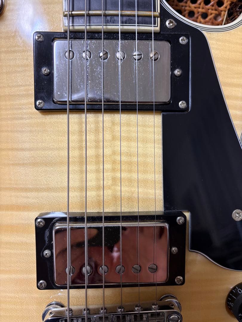 SCHECTER/SOLO2 CUSTOMレスポールモデル