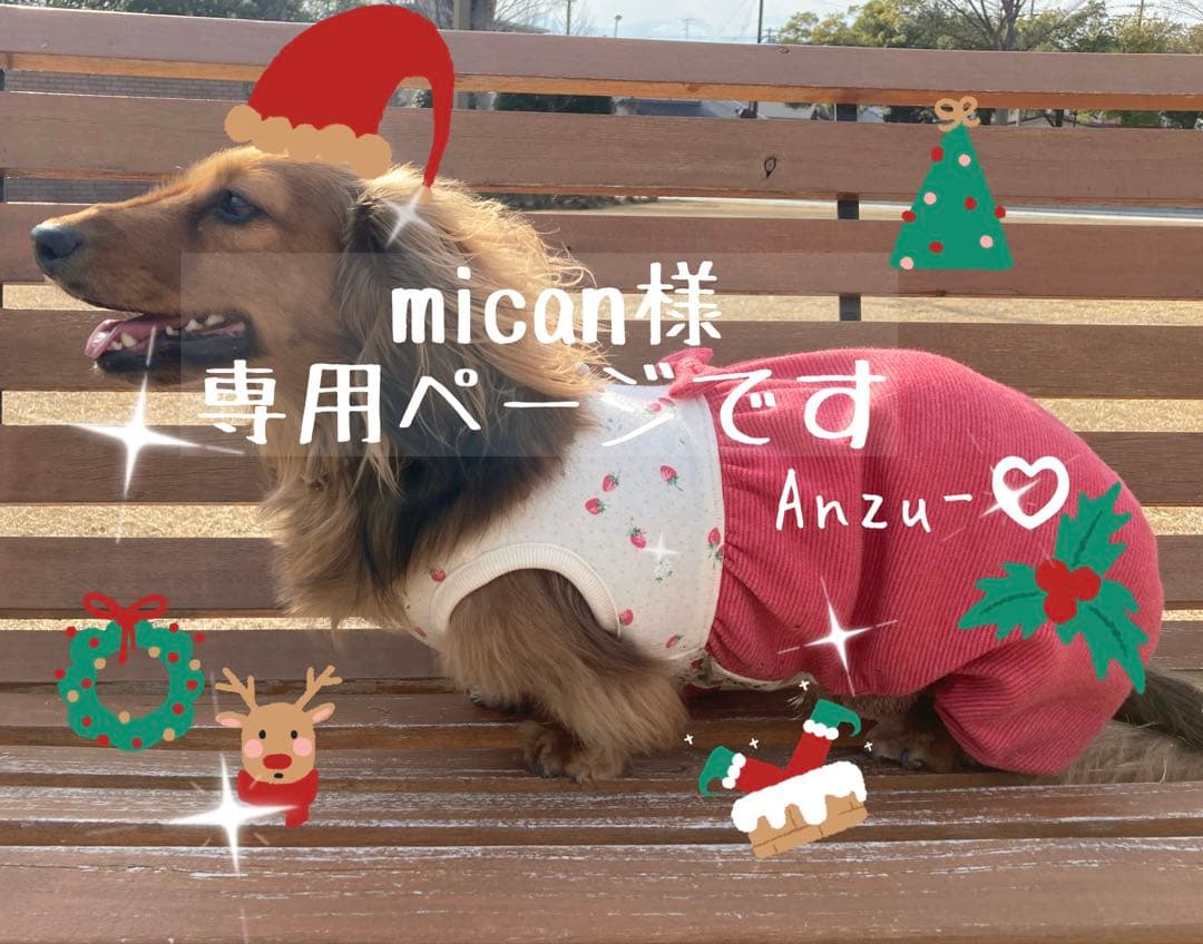 micanページです　ダックスフンド　犬服　わんこ服　ダックス
