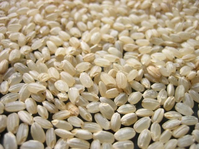 関東　一都六県　送料無料　令和６年　冷蔵保存　新米　玄米　つきあかり　20kg