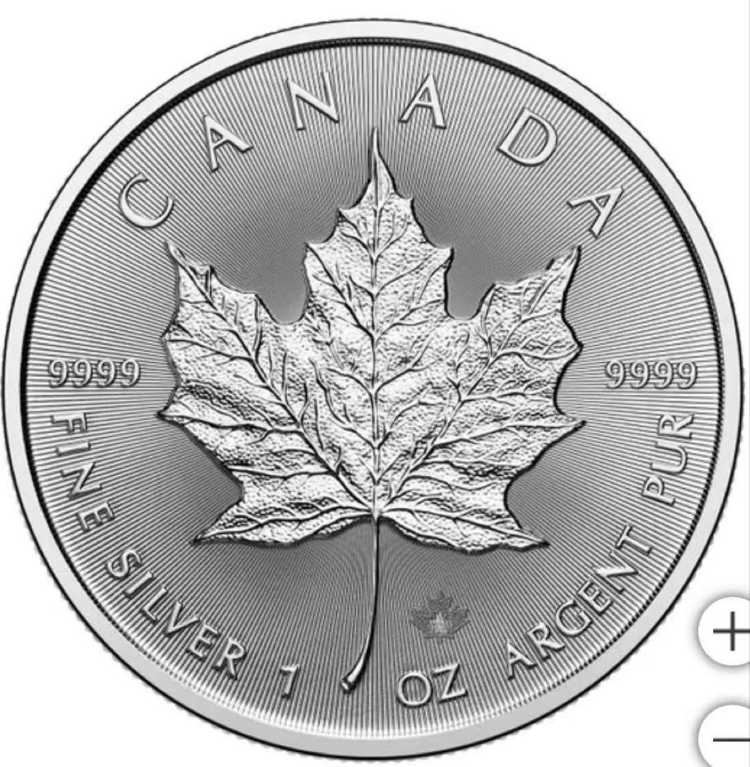 2025年 カナダメイプルリーフ銀貨 1オンス .9999 純銀エリザベス2世