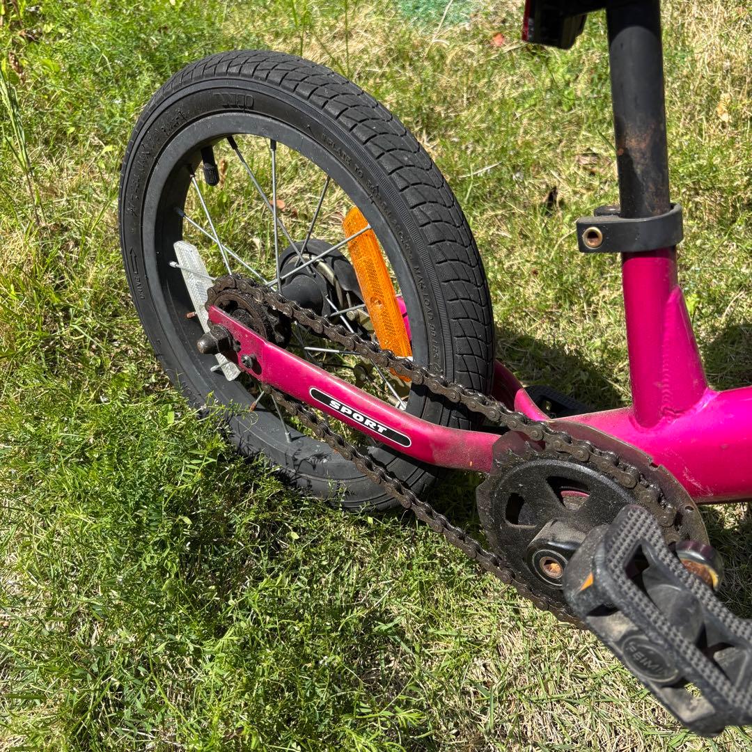 自転車本体 Exotic jungle