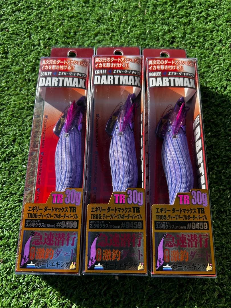 エギリー ダートマックスTR30 TR-05 ディープパープル ボーダーパープル