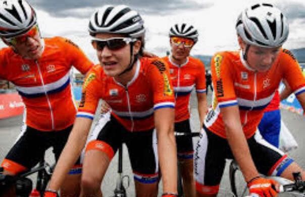 【選手支給品】オランダ代表チーム ジャージ Mサイズ