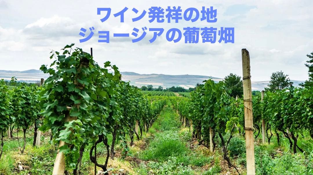 高ポリフェノール　ノンアルコール　ワインティー　100g粉末入り　２本セット