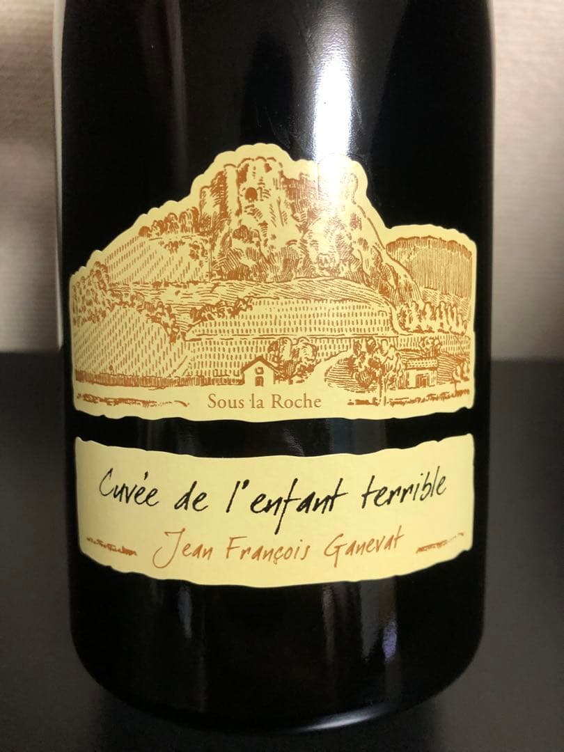 ジャン・フランソワ・ガヌヴァ プールサール ランファン・テリーブル2015