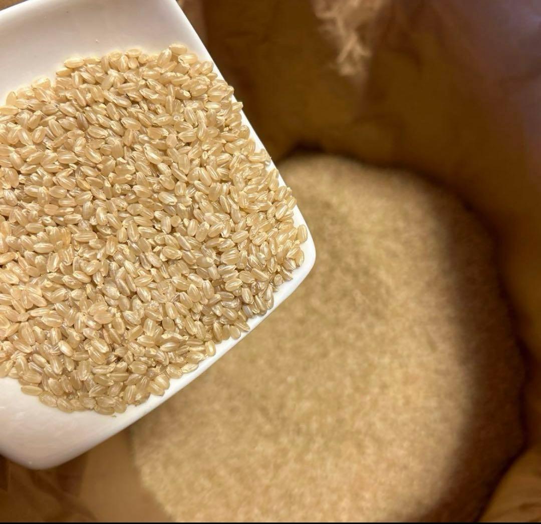 福島県産 コシヒカリ 玄米30kg 令和6年度