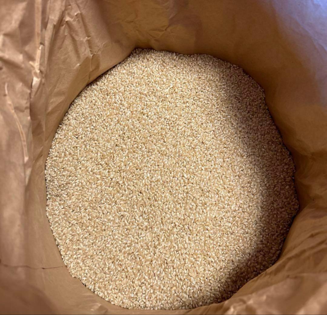 福島県産 コシヒカリ 玄米30kg 令和6年度