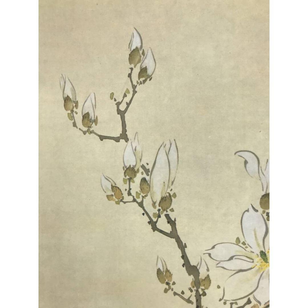 複製/野口小蘋/牡丹図/工芸品/木蓮/花図/花鳥図/掛軸☆宝船☆AK-224