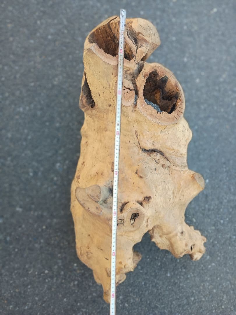 自然天然木(根)とても珍人間の歩姿です自然の感動てきア−ト作品です一品です