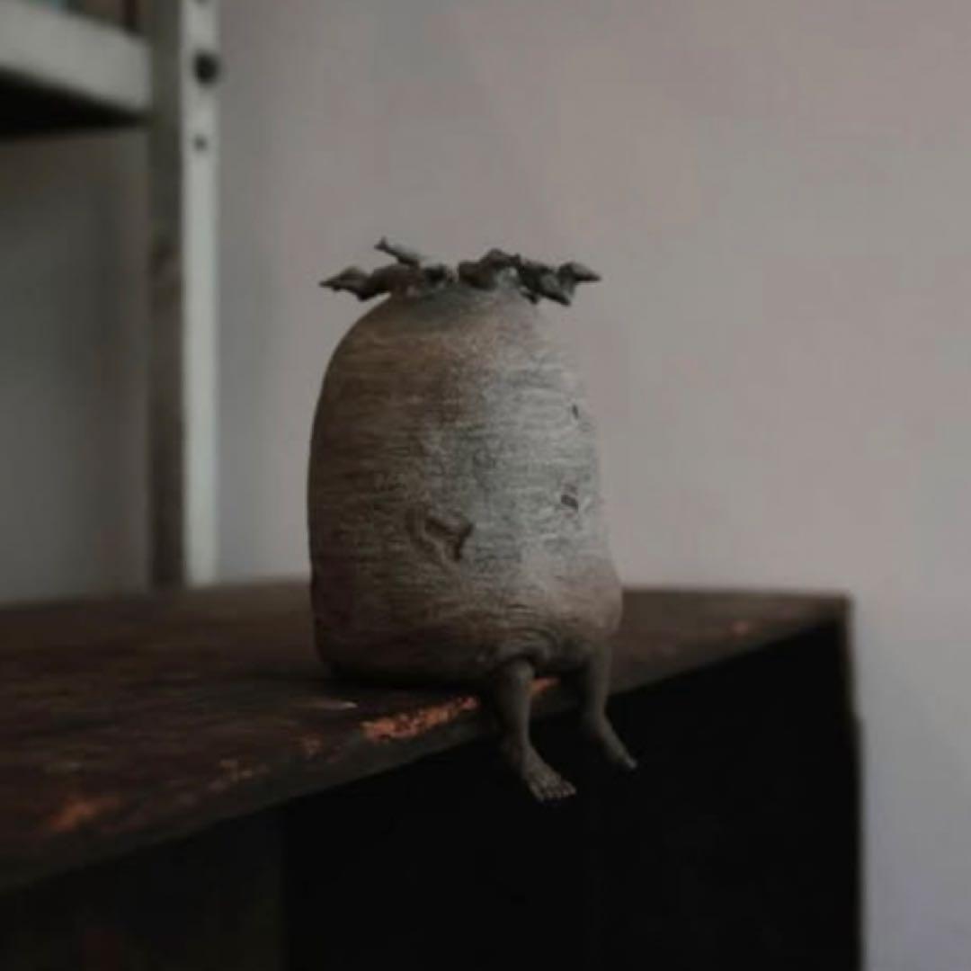 ozwrt BaobabMan バオバブマン ssサイズ