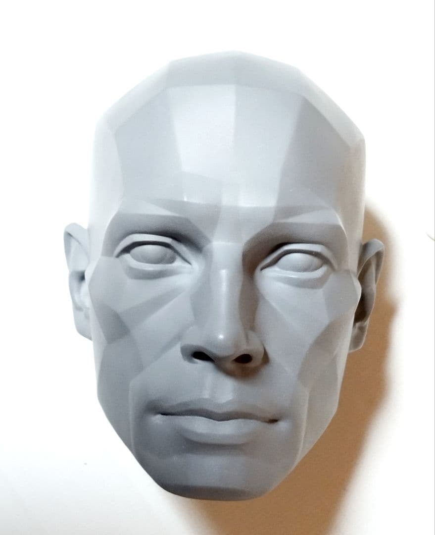 人体模型セット 頭部・足部・頭蓋骨