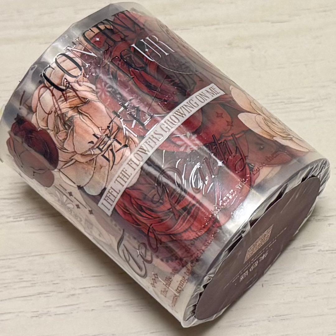 セール178 海外 PETテープ マスキングテープ