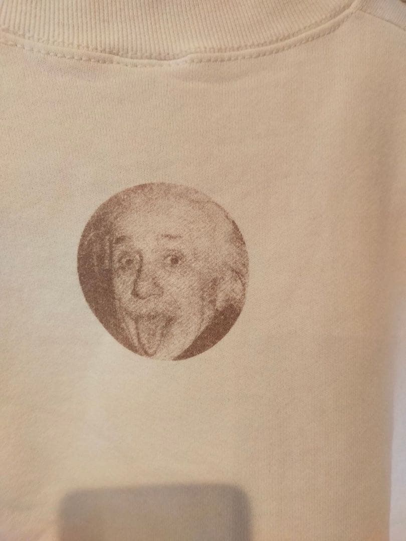 スウェット　古着　ビンテージスウェット　90s アインシュタイン　フルーツ　偉人