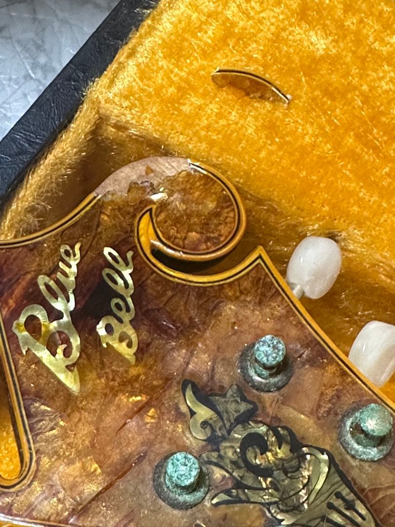 【希少】BlueBell フラットマンドリン F-16 小坂部氏サイン ジャンク