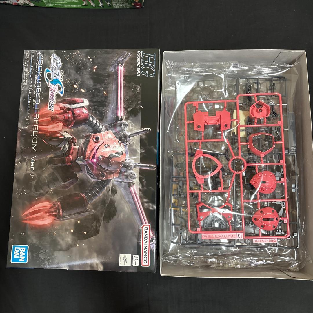 HG　EG　RG　ガンダムSEED　ガンプラ　新品 9種類　+おまけ完成品2種類