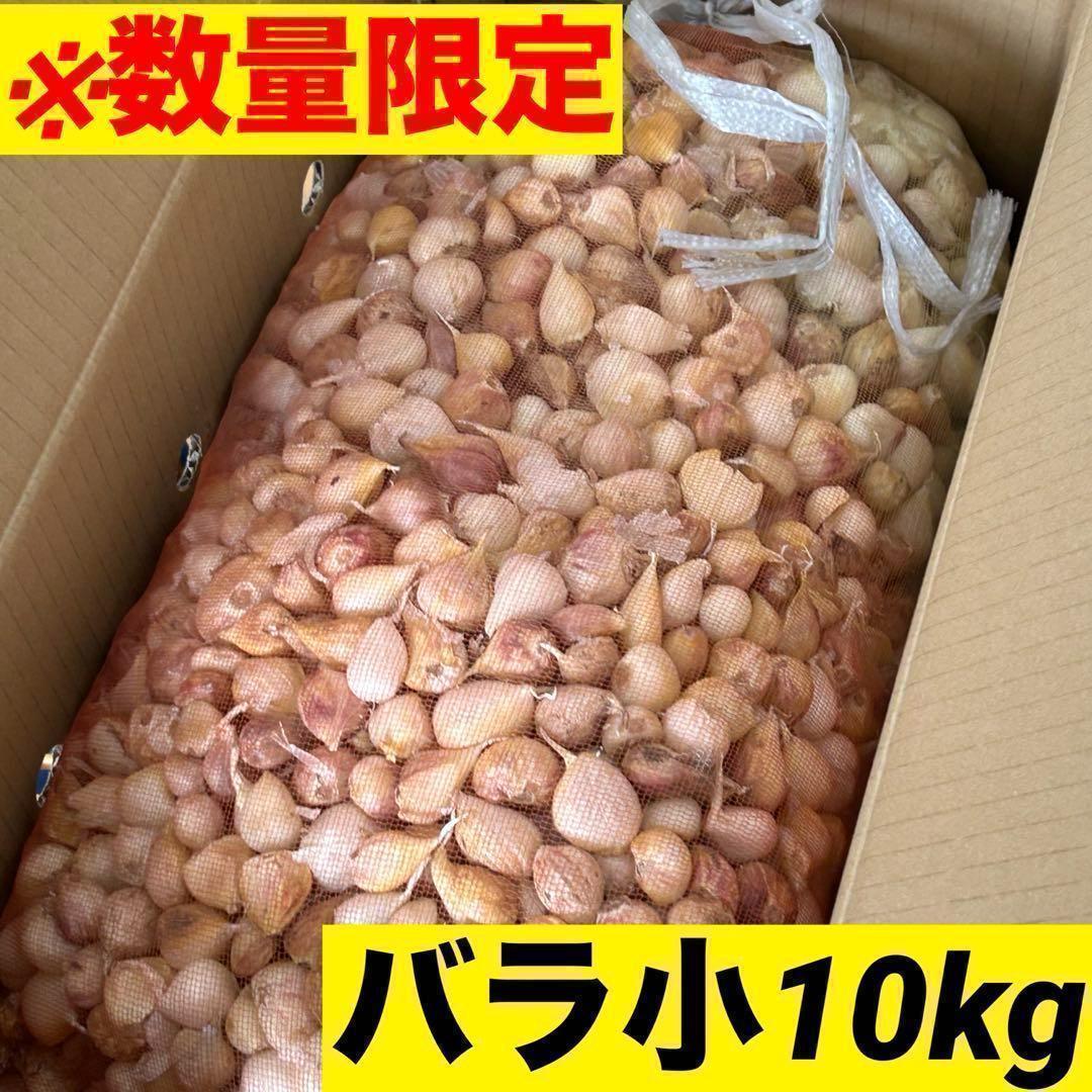 【数量限定】新物 青森県産 にんにく バラ小10kg 福地ホワイト 加工 激安