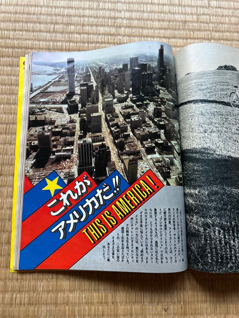 女性自身 増刊 天皇皇后ご訪米特集号