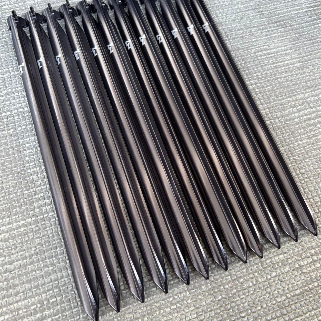 【希少】純正ペグ付き1stロット　ゼインアーツ　ゼクーL インナーテントセット