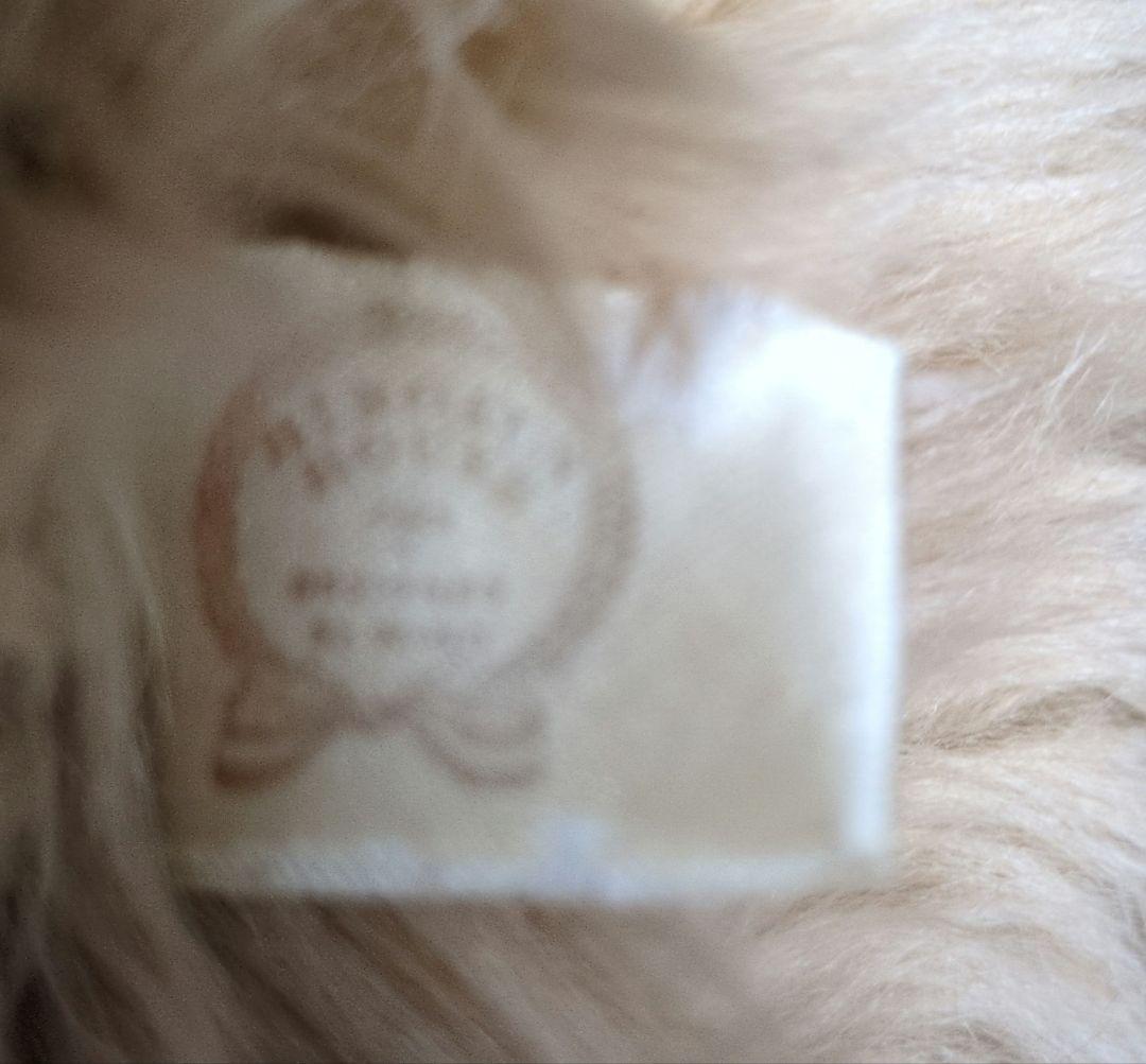 HIROKUN　HOUSE　大きなベージュのテディベア